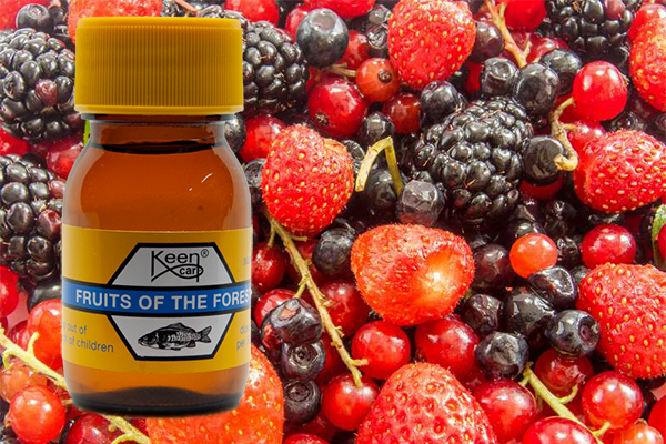 Fruits of the Forest